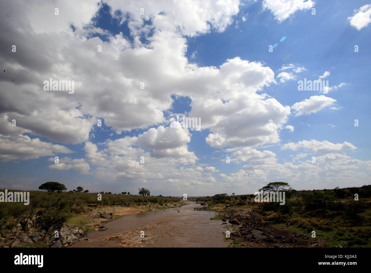Fiume di Mara paesaggio. Masai Mara Game Reserve. Kenya. Foto Stock