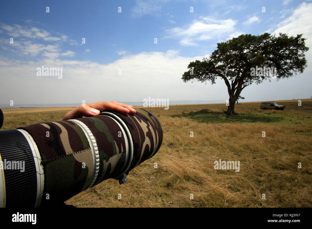 Foto di Safari. Wildlife Photographer. Masai Mara Game Reserve. Kenya. Foto Stock