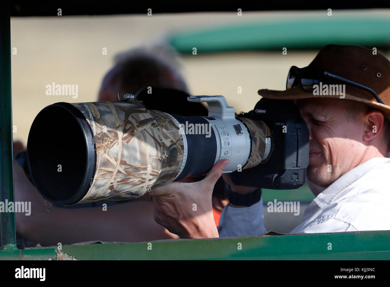 Foto di Safari. Wildlife Photographer. Masai Mara Game Reserve. Kenya. Foto Stock