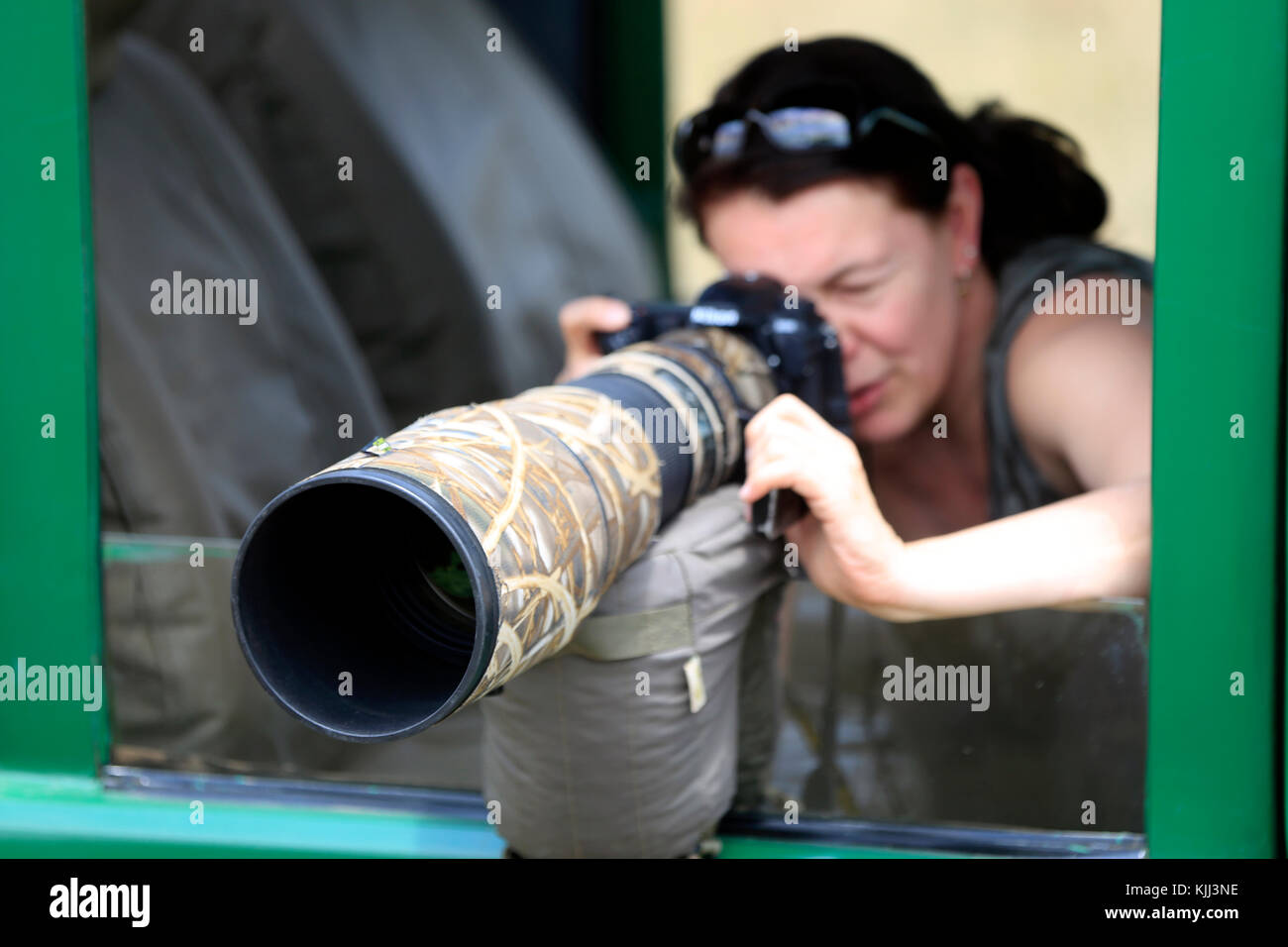 Foto di Safari. Wildlife Photographer. Masai Mara Game Reserve. Kenya. Foto Stock