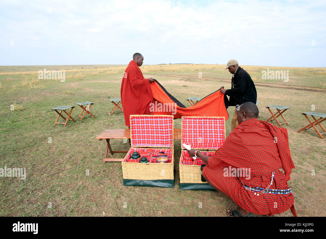 Bush breakfast. Masai Mara Game Reserve. Kenya. Foto Stock
