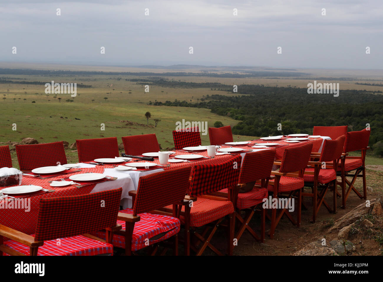 Bush breakfast. Masai Mara Game Reserve. Kenya. Foto Stock