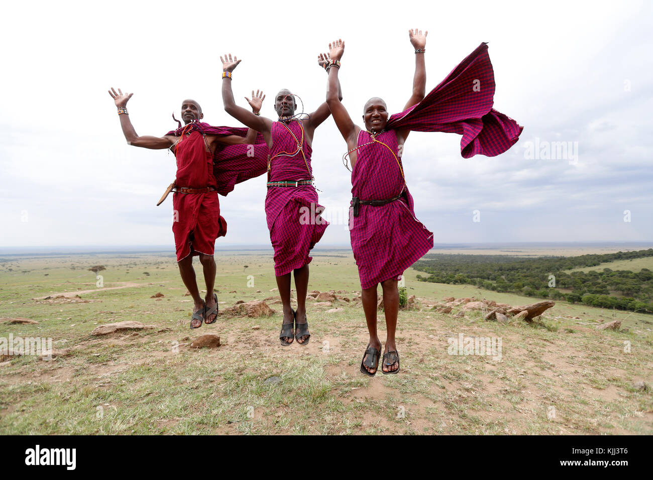 Masai guerrieri facendo la tradizionale danza di salto. Masai Mara Game Reserve. Kenya. Foto Stock