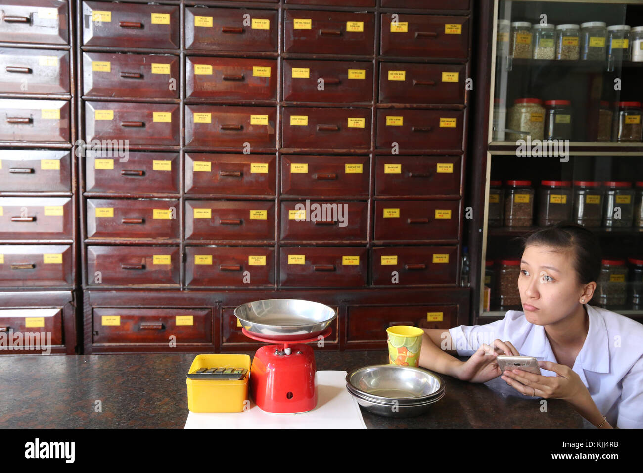 Medicina Tradizionale Cinese farmacia. La medicina di erbe terapia. Il Vietnam. Foto Stock