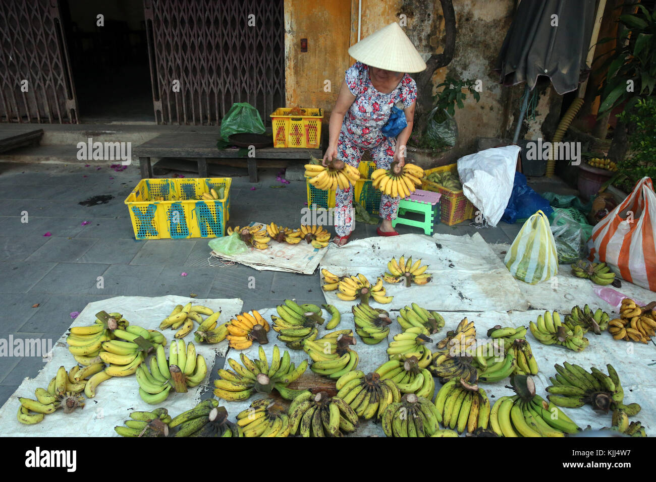 Donna vietnamita la vendita di banane fresche in strada. Hoi An. Il Vietnam. Foto Stock