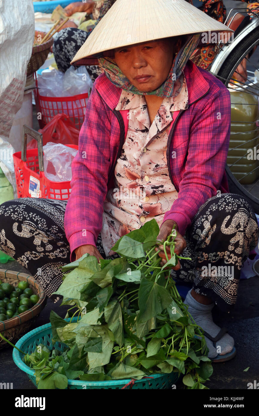 La donna nel cappello conico vendere verdure. Hoi An. Il Vietnam. Foto Stock