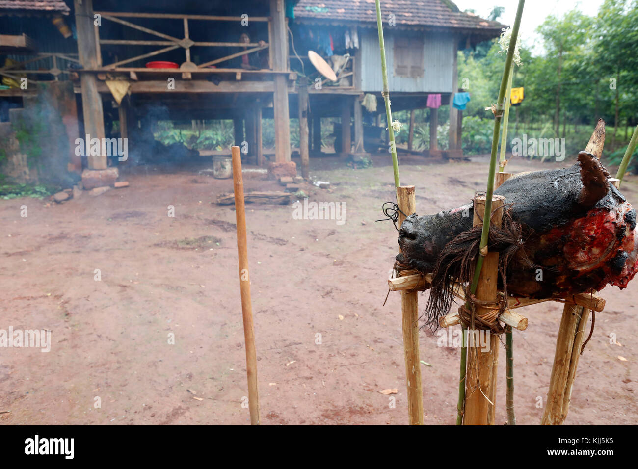 Jarai (Gia Rai) gruppo etnico. Buffalo sacrificio per i riti funebri. Kon Tum. Il Vietnam. Foto Stock