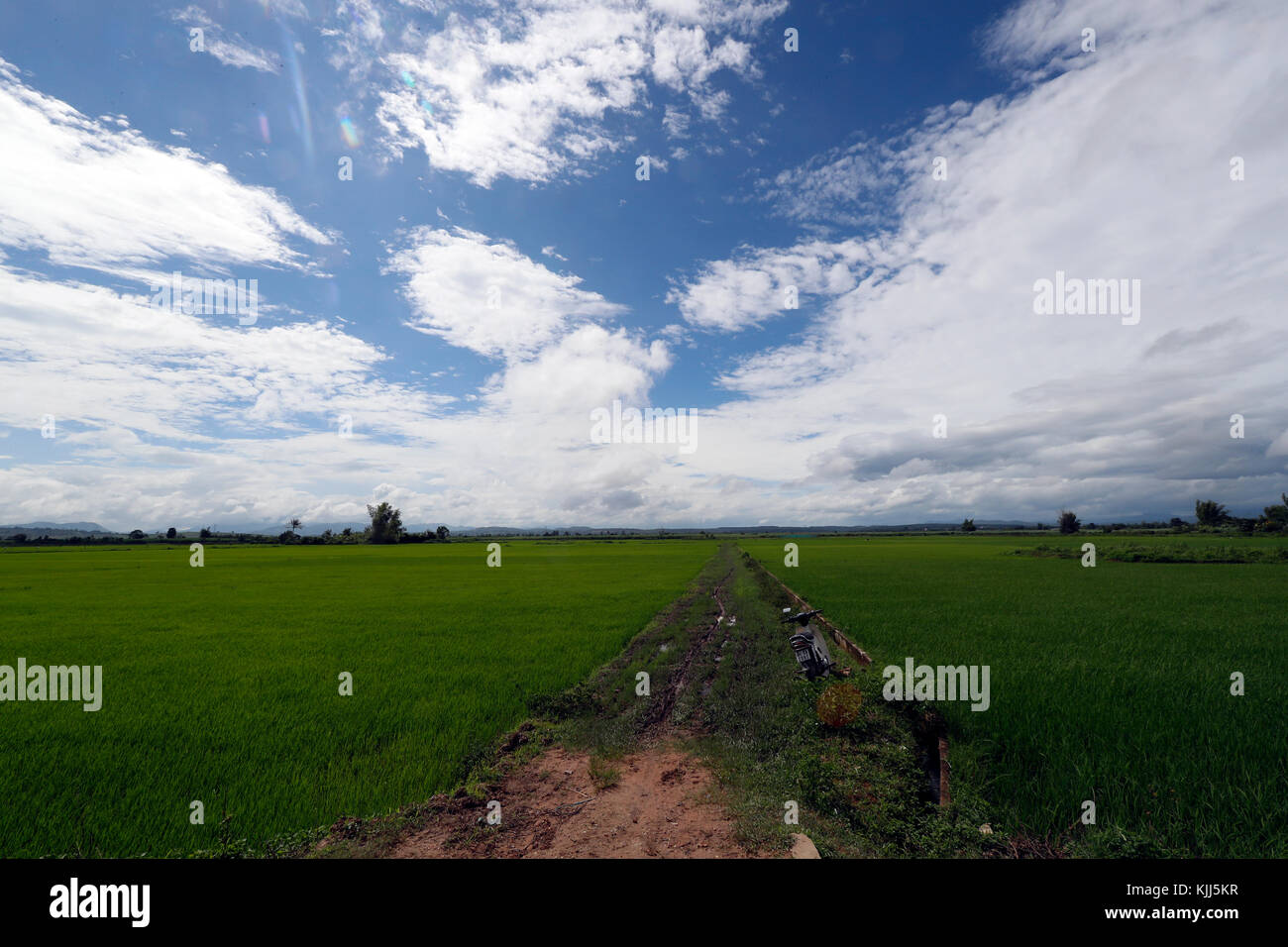 Campo di riso e cielo nuvoloso. Paesaggio. Kon Tum. Il Vietnam. Foto Stock