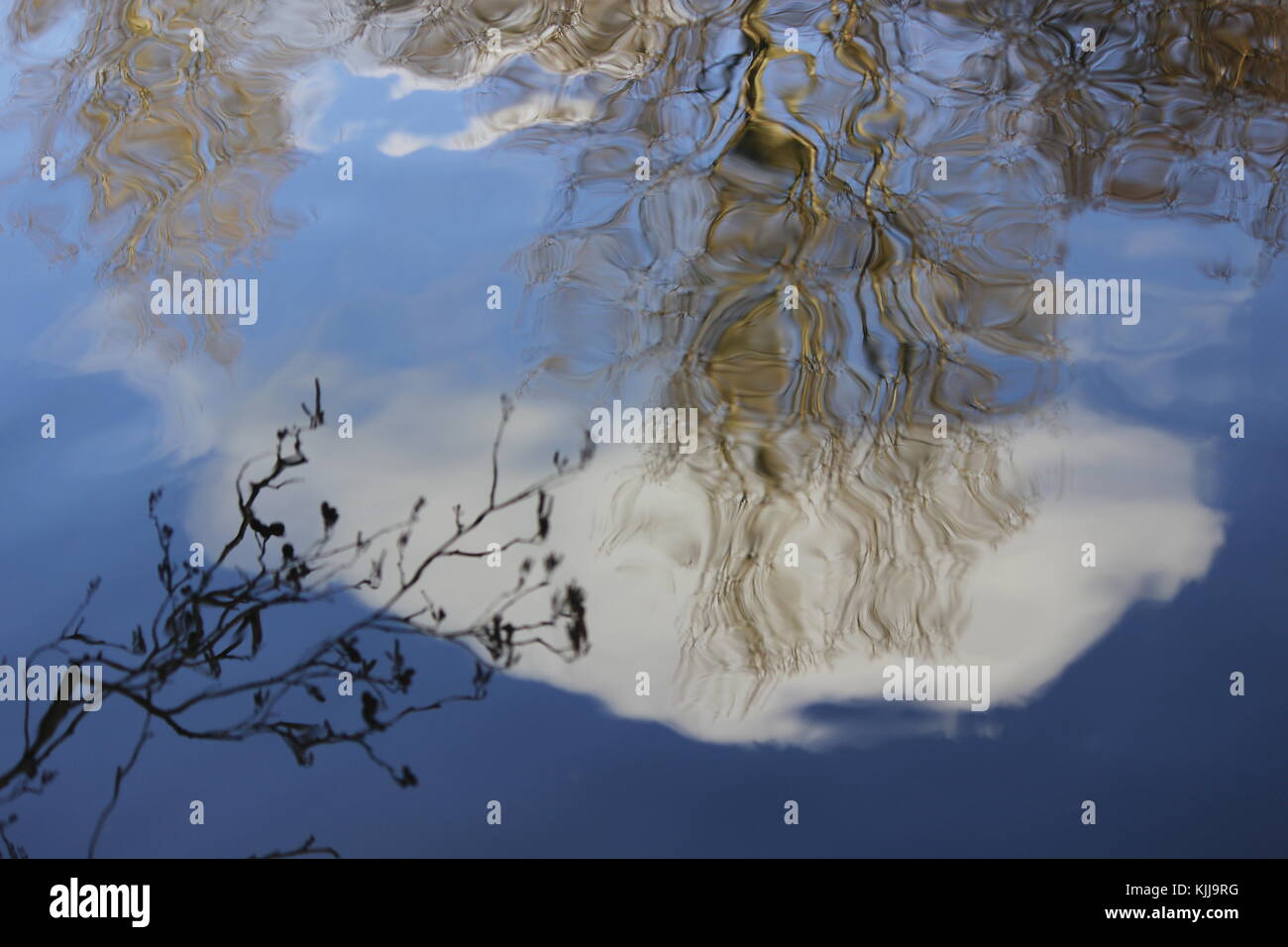 La riflessione del Cloud, ramo di albero e sul lago Foto Stock