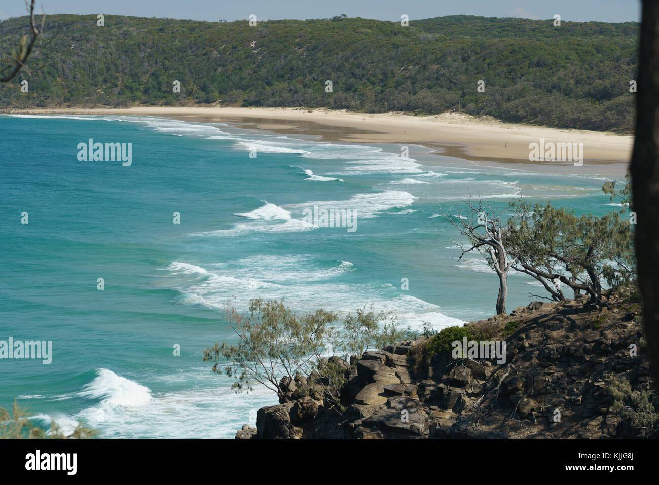 Noosa Head, Australia, viaggio Lifestyle, spiagge, uccelli, fiori, cielo blu Foto Stock