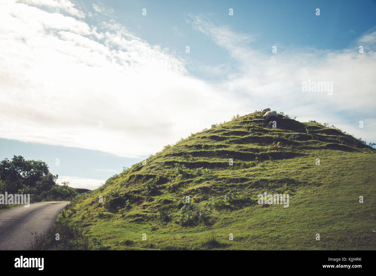 Capre pascolano sulla cima di una collina vicino la fata glens nell'isola di Skye in Scozia Foto Stock