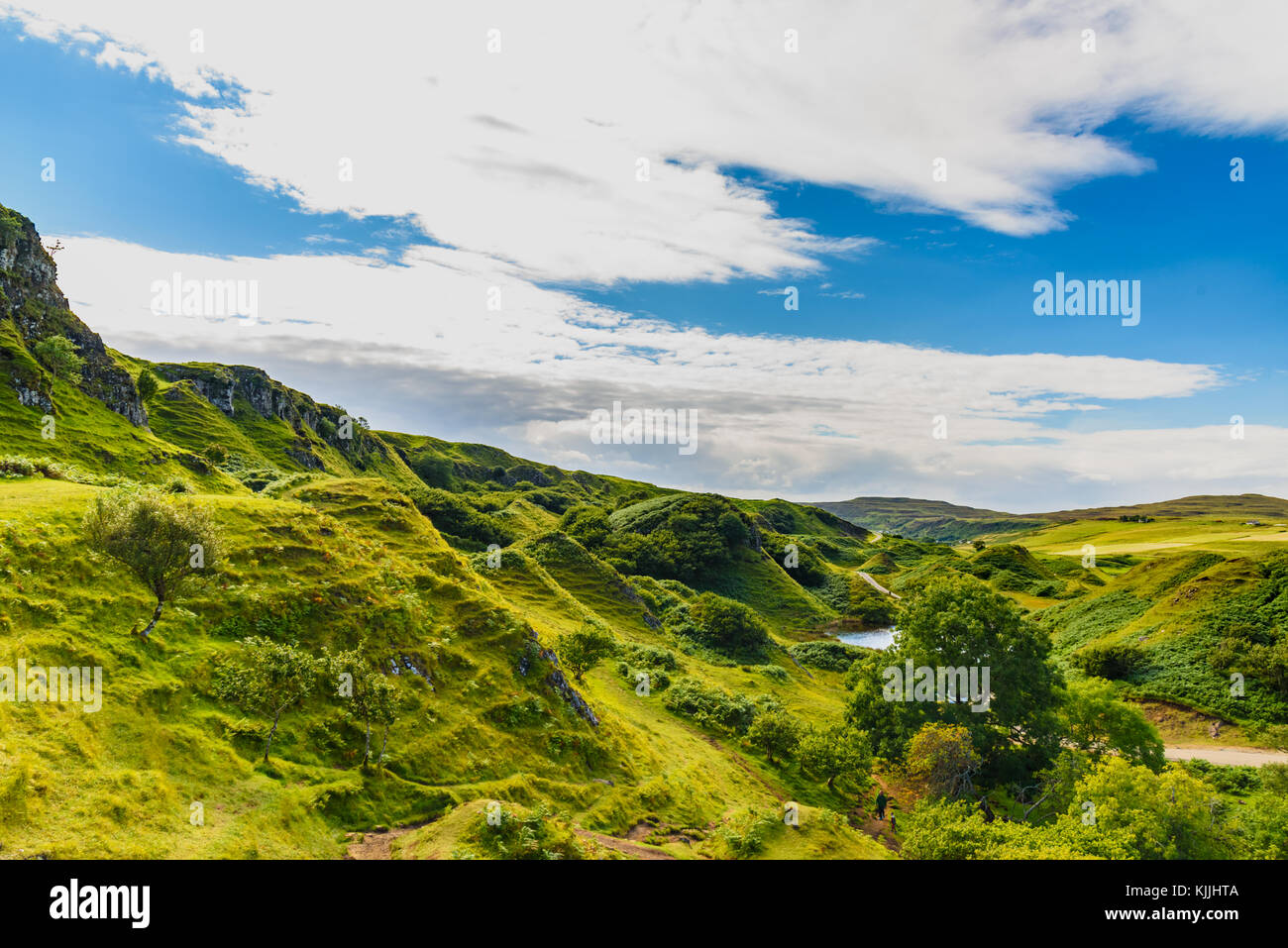 Il molto verde della natura della mistica Fairy Glen nell'isola di Skye in Scozia Foto Stock