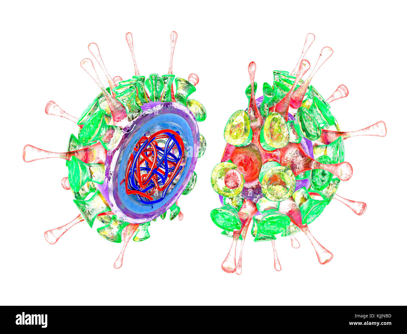 Virus influenzale, rendering 3D Foto Stock