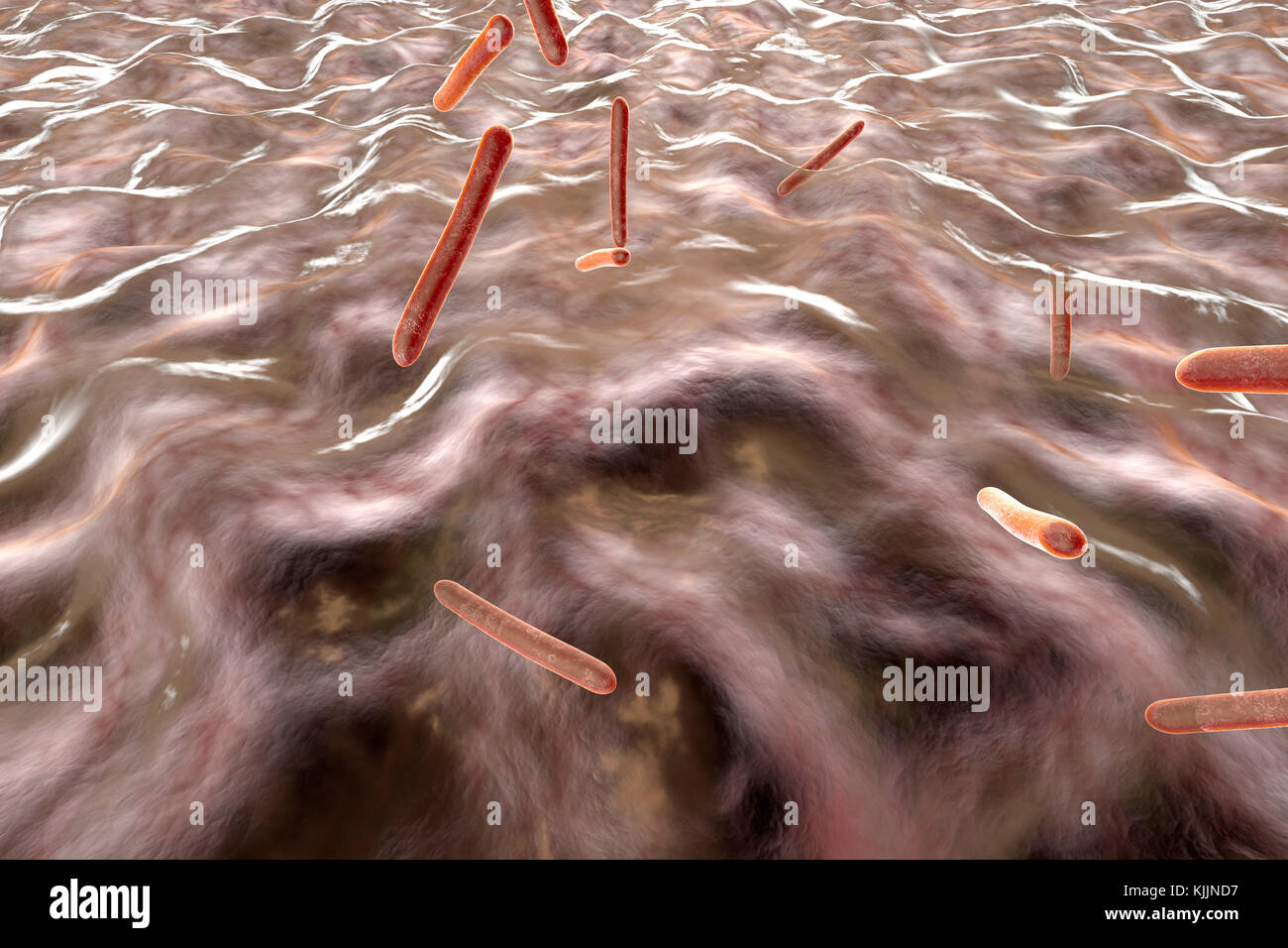 3D reso illustrazione, visualizzazione di i batteri responsabili della tubercolosi in un organismo Foto Stock