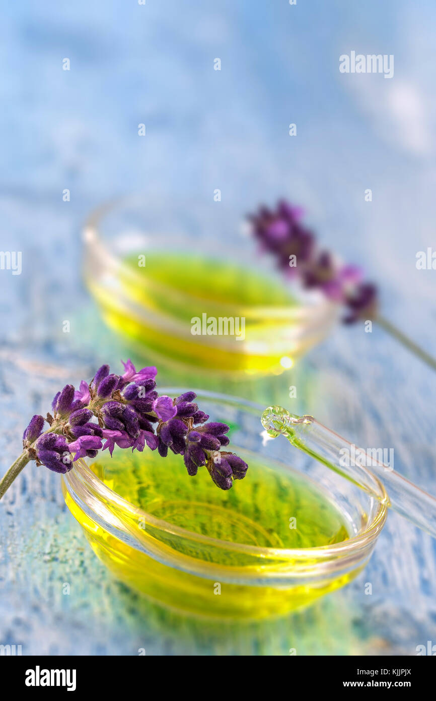 Coppa trasparente con gocce di lavanda liquido essenziale in contagocce su sfondo di legno con fiori di medicinali Foto Stock