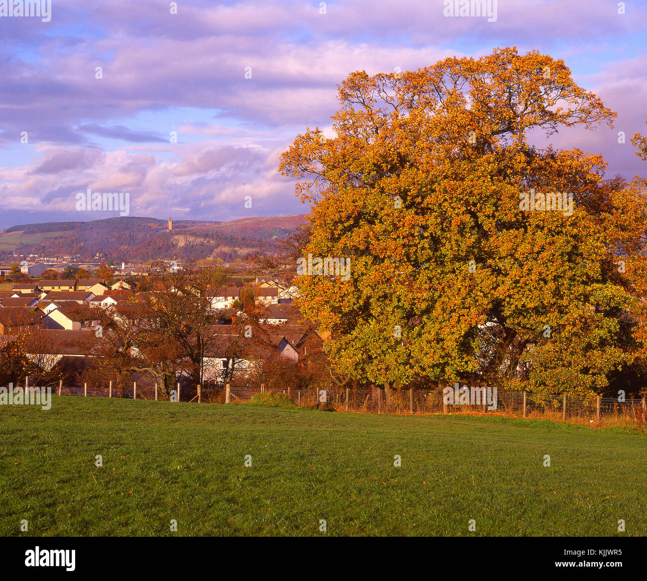 Scena di autunno guardando verso le Ochil Hills e il Monumento Wallace, come visto da sud est, Stirling, stirlingshire Foto Stock