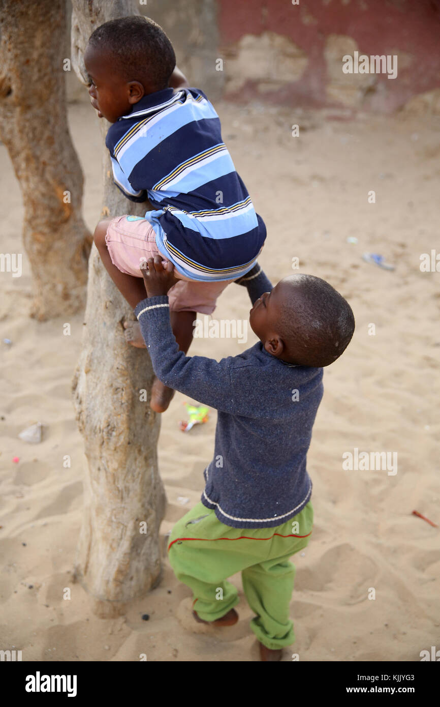 I ragazzi di arrampicarsi su un albero. Il Senegal. Foto Stock