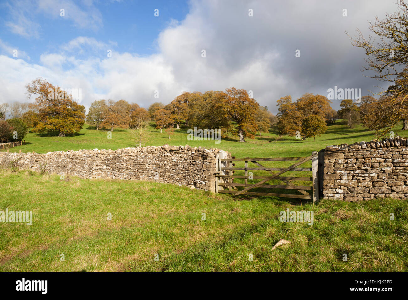 Cotswold secco muro in pietra e in legno cinque bar porta con i campi di erba e alberi d'autunno dietro, Stowell, Cotswolds, Gloucestershire, England, Regno Unito Foto Stock