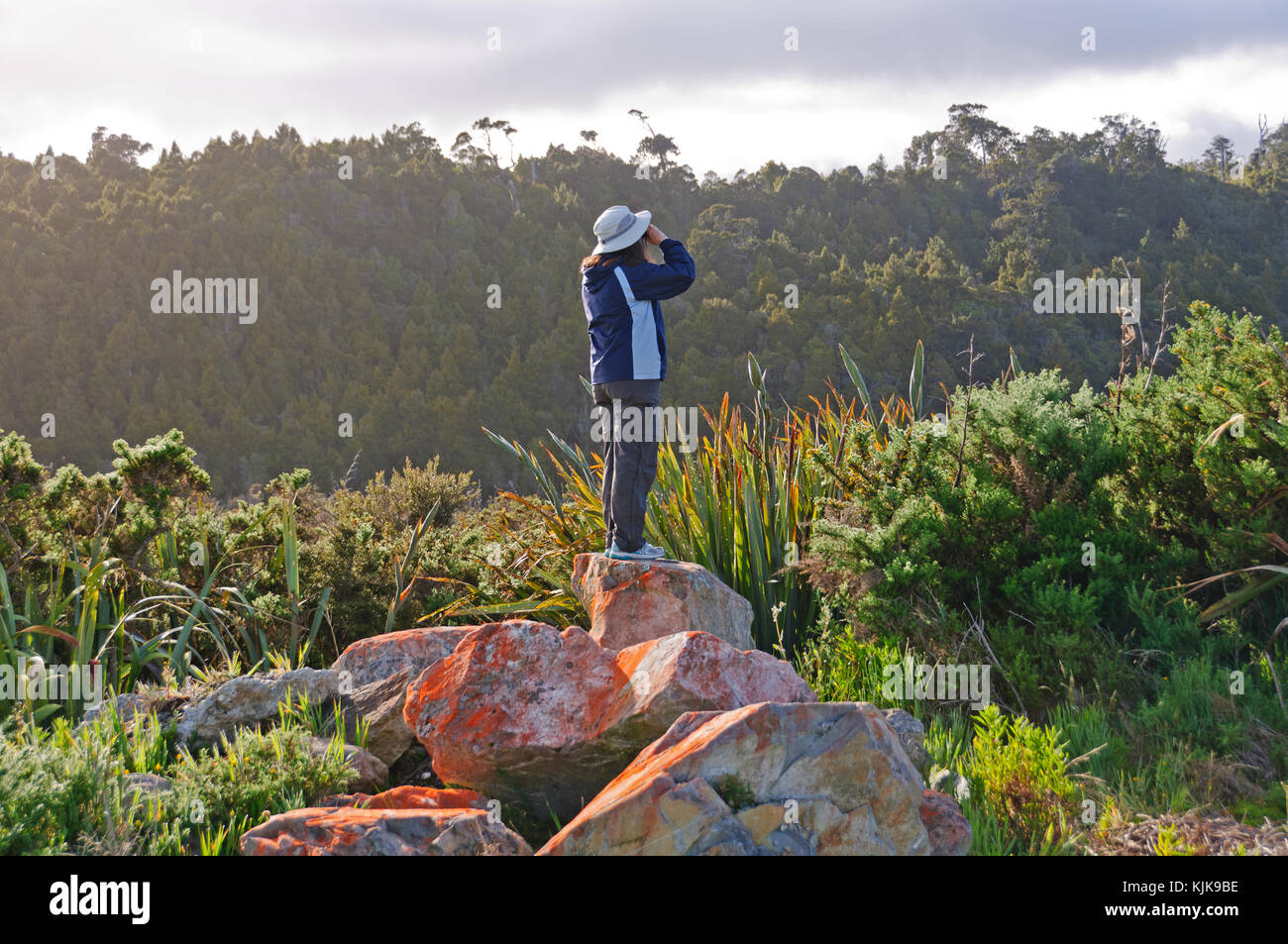 Osservazione degli uccelli osservando gli uccelli vicino okarito, Nuova Zelanda Foto Stock