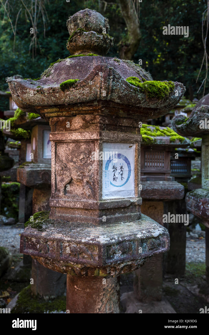 Kasuga Taisha è famosa per le sue numerose lanterne che sono state donate da adoratori. Molte lanterne in bronzo all'interno del santuario e 3000 lanterne di pietra li Foto Stock