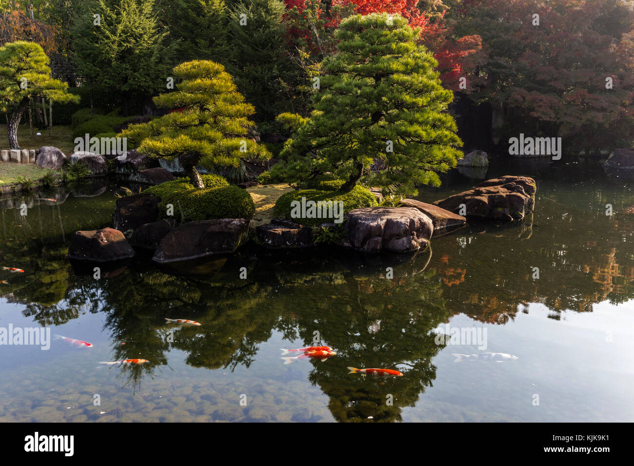 Kokoen è relativamente moderna giardino Giapponese, aperto nel 1992 sul vecchio sito di del signore feudale del west residence Nishi-Oyashiki al castello di Himeji Foto Stock