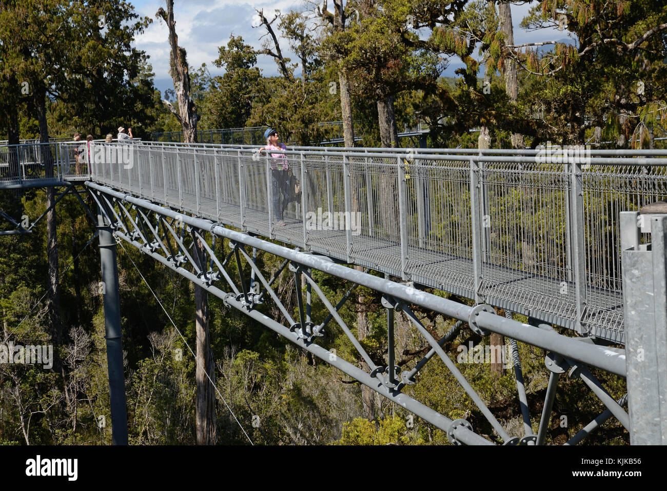 HOKITIKA, Nuova Zelanda, 10 marzo 2017: i visitatori godere la vista della foresta pluviale temperata e sulle montagne dal 20m alto Treetops a piedi. Foto Stock