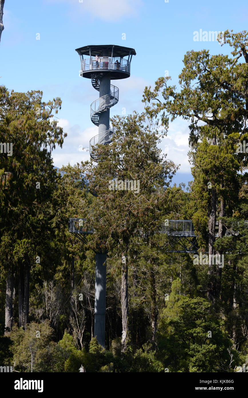 HOKITIKA, Nuova Zelanda, 10 marzo 2017: i visitatori godere la vista della foresta pluviale temperata e sulle montagne dal 67m torre alta sulle cime degli alberi a piedi. Foto Stock