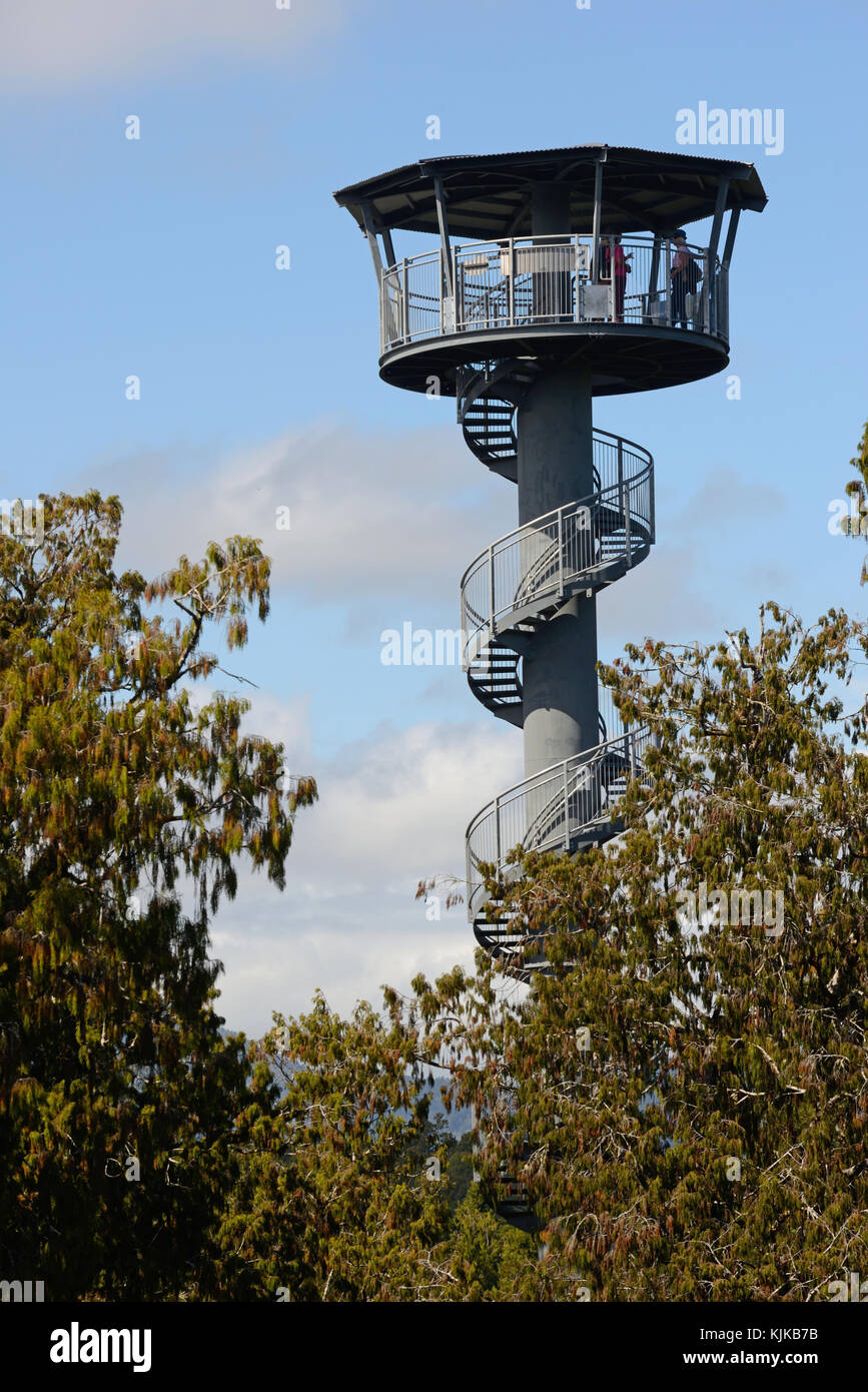 HOKITIKA, Nuova Zelanda, 10 marzo 2017: i visitatori godere la vista della foresta pluviale temperata e sulle montagne dal 67m torre alta sulle cime degli alberi a piedi. Foto Stock