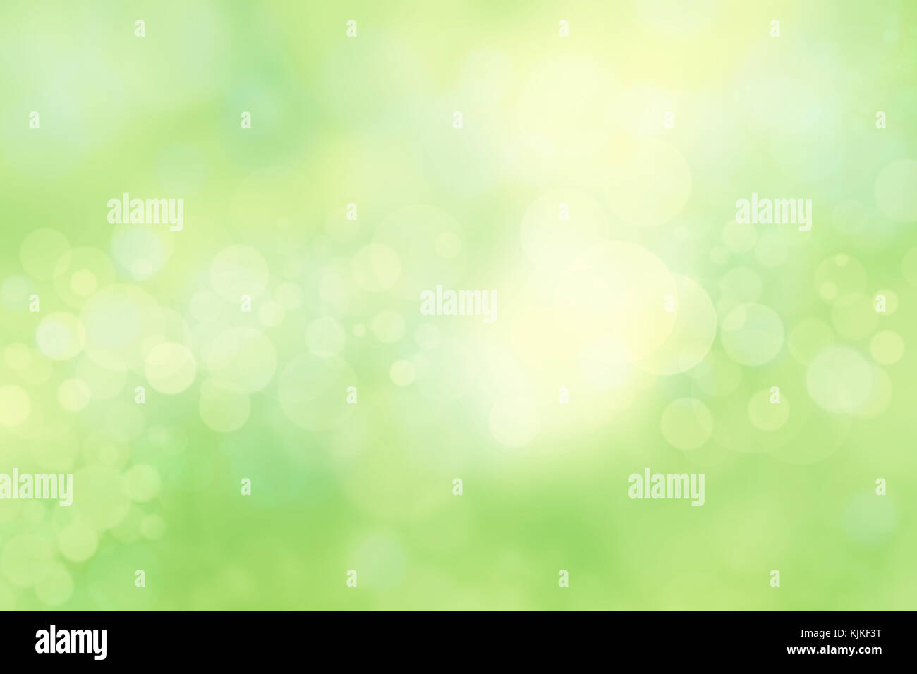 Molla con sfondo bokeh luci Foto Stock