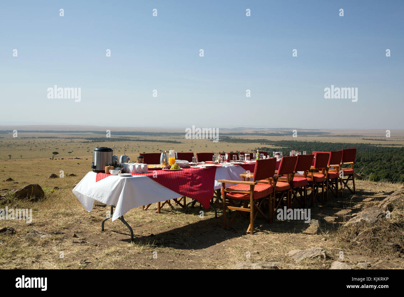 Masai Mara riserva nazionale. La prima colazione nella boccola. Kenya. Foto Stock