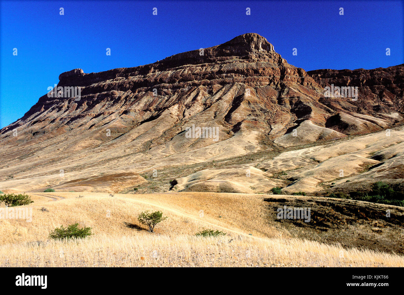 Kaokoland deserto, Namibia. Foto Stock