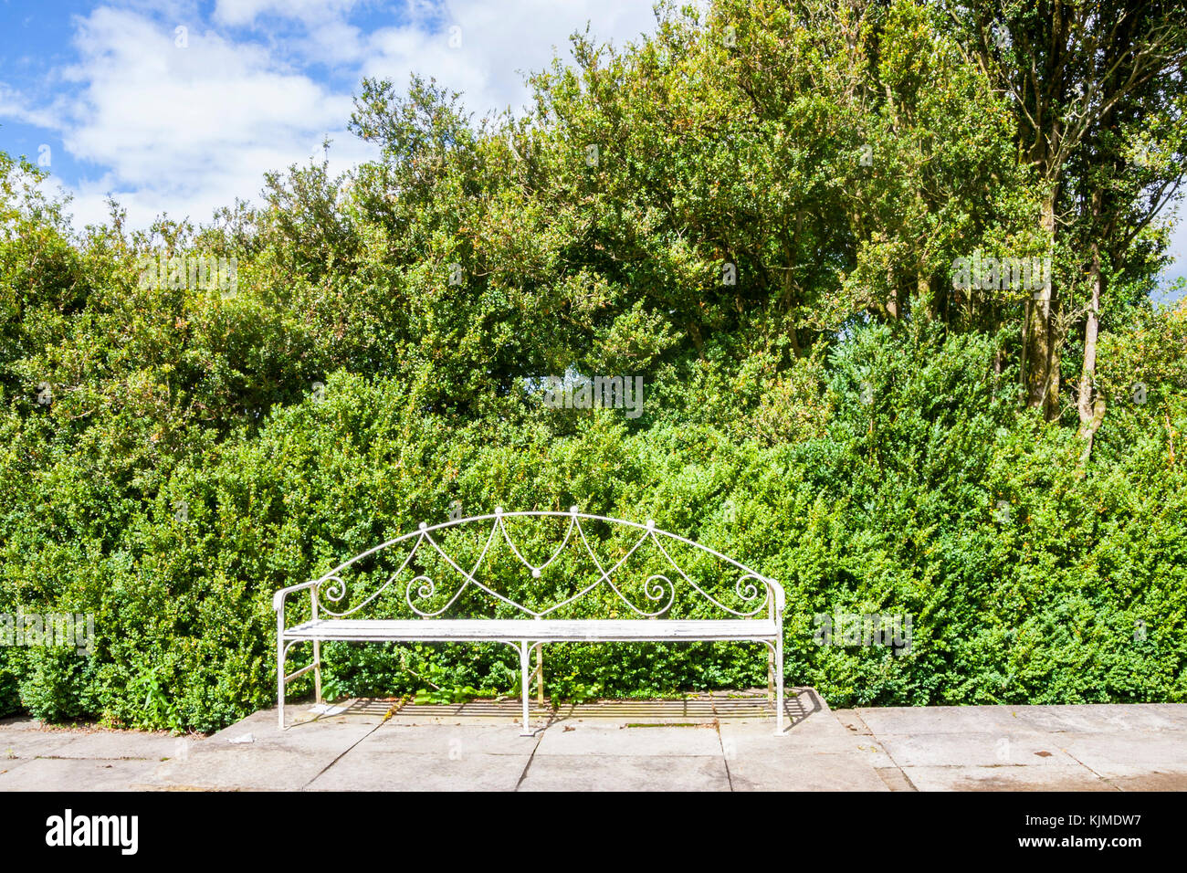 Large White ornati in ferro battuto banco / giardino sedile, Irlanda Foto Stock