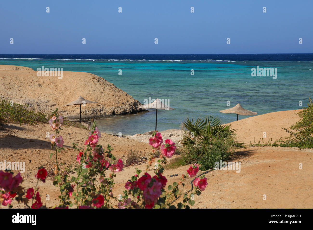 Paesaggio marino di Marsa Alam (Mar Rosso), Egitto Foto Stock