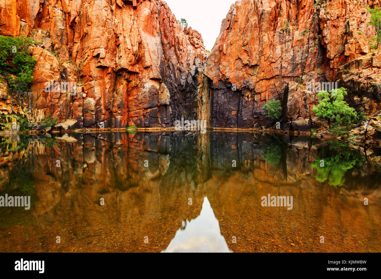 Pool di Python in Millstream Chichester National Park. Foto Stock
