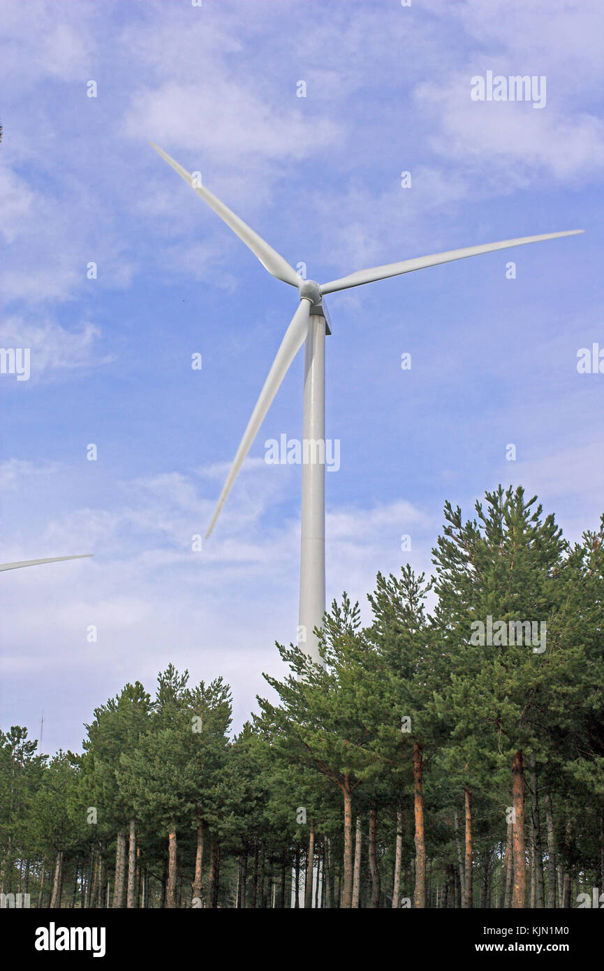 Generatore eolico su diversi alberi Foto Stock