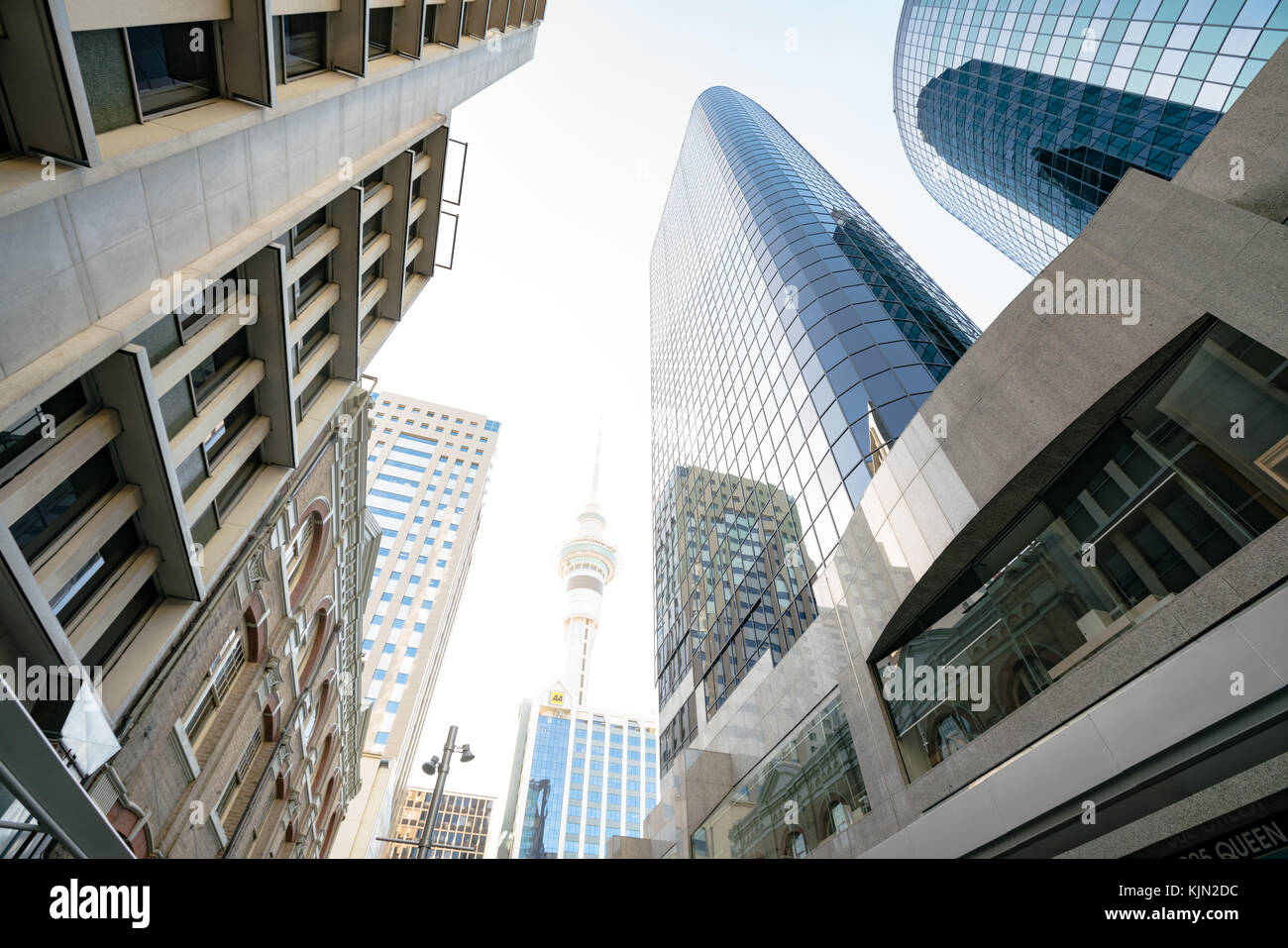 Auckland, Nuova Zelanda - Gennaio, 2016: grattacieli del centro finanziario della città Foto Stock