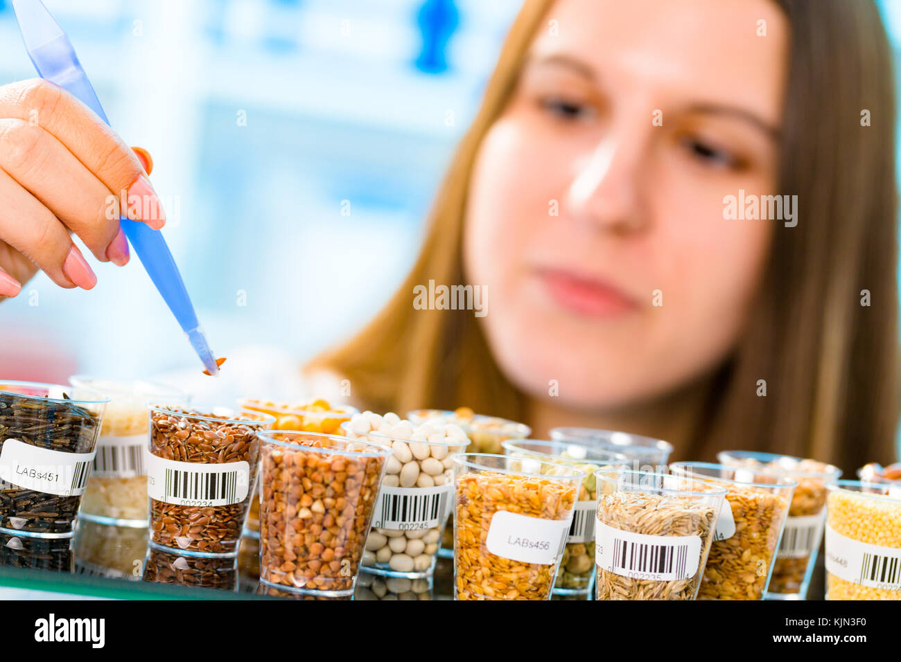 La ricerca in materia di OGM di cereali in laboratorio Foto Stock