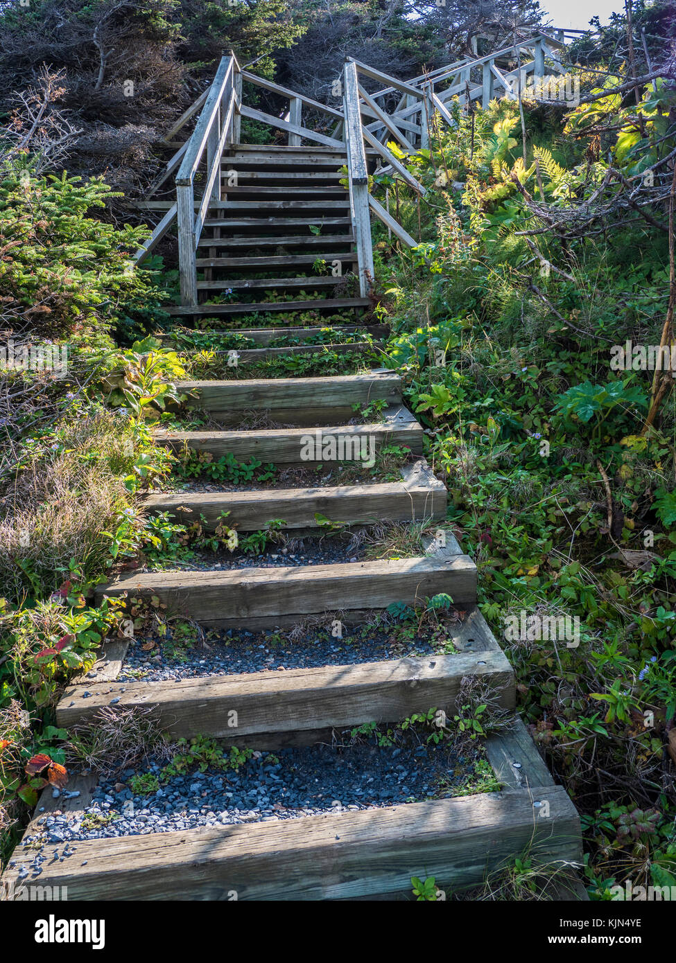 Passi verso il basso per la S.S. Naufragio Ethie sito, Highway 430, il Viking Trail, Parco Nazionale Gros Morne, Terranova, Canada. Foto Stock