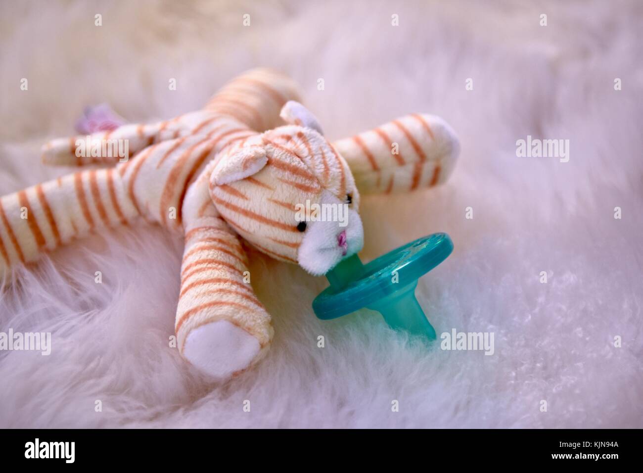 Succhietto cucciolo neonato o binky Foto Stock