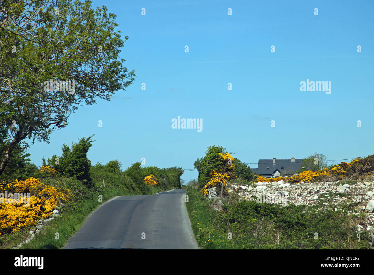 Un irish country road Foto Stock