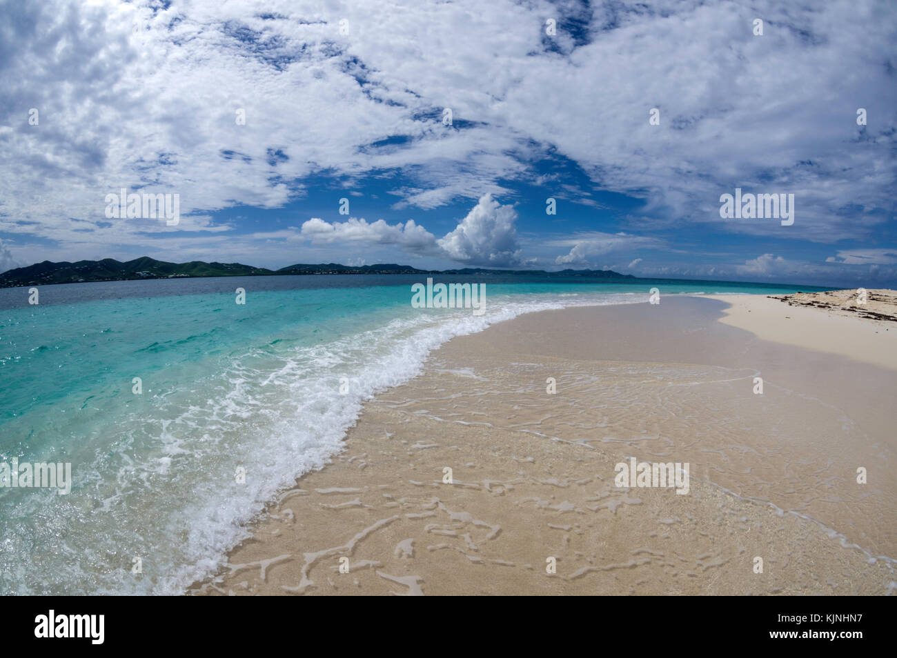 Turtle Beach sull'isola Buck Foto Stock