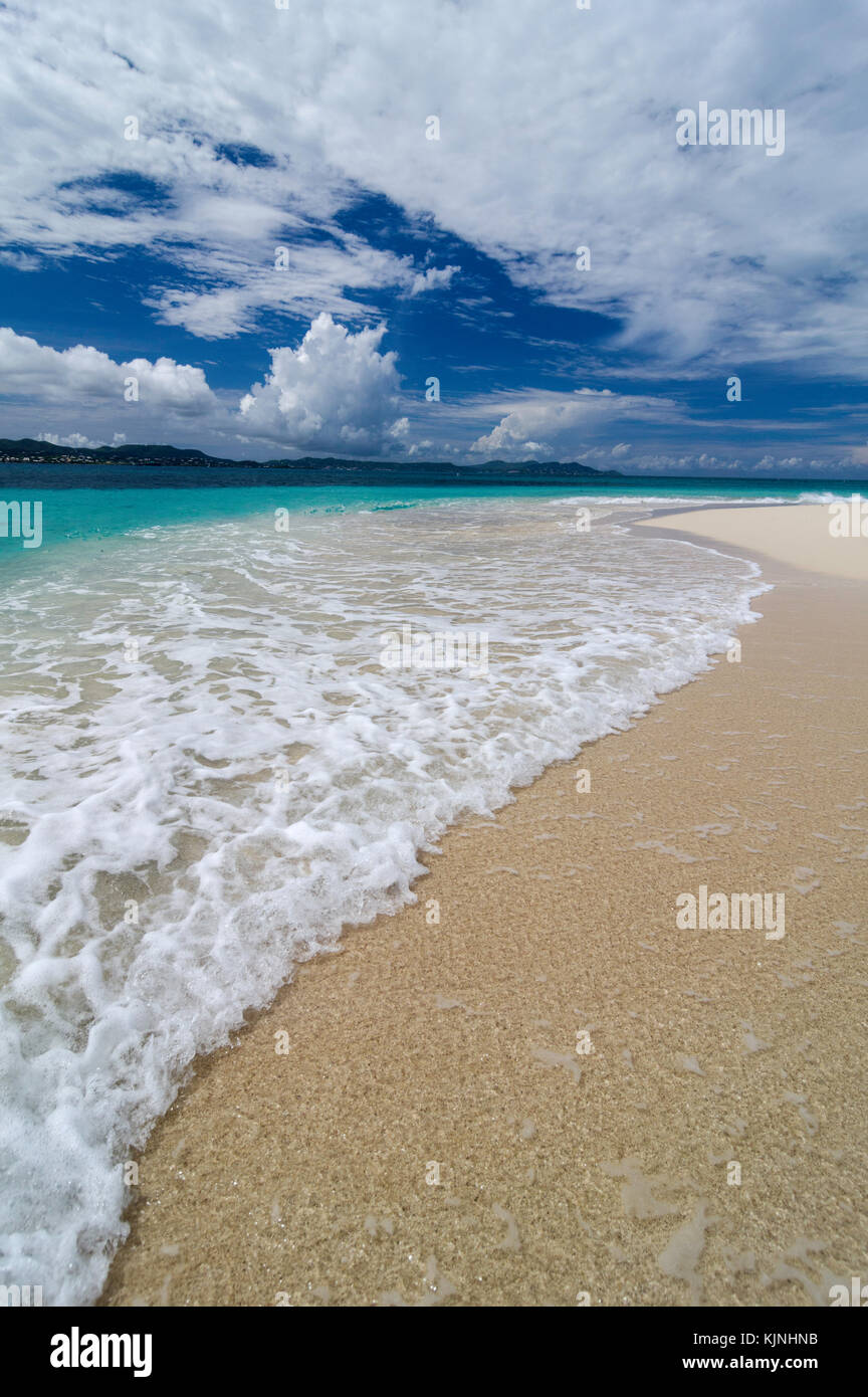 Turtle Beach sull'isola buck Foto Stock