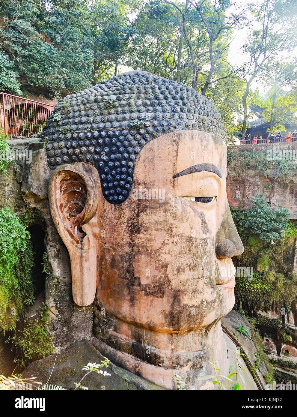 Capo di Leshan Buddha gigante nella provincia di Sichuan, in Cina. foto scattata nel gennaio del 2013, mentre il turismo in Cina. Foto Stock