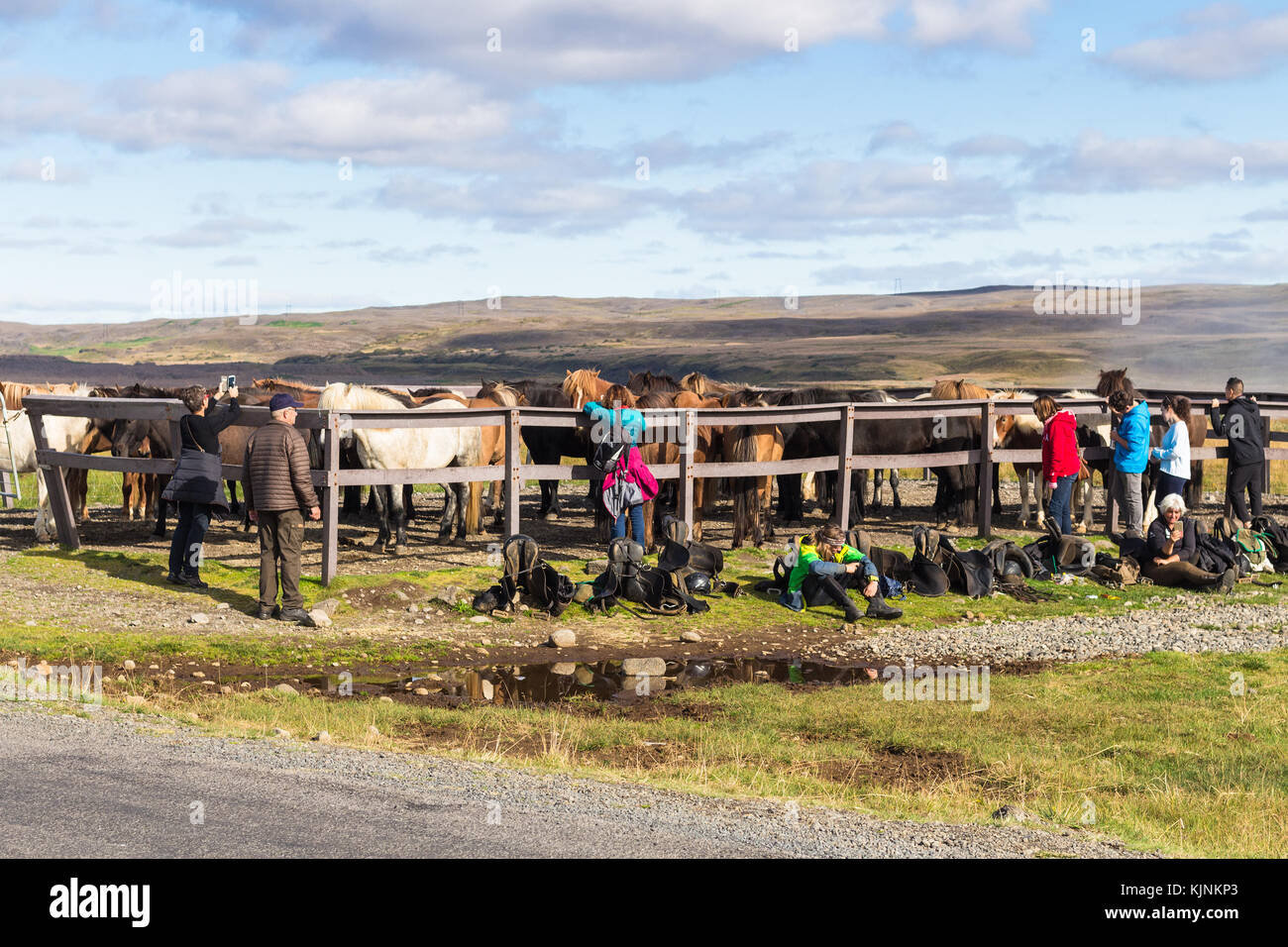 Thingvellir, Islanda - 6 settembre 2017: turistico nei pressi di cavalli nel parco nazionale di thingvellir. thingvellir è storica, culturale e sito geologico, Foto Stock