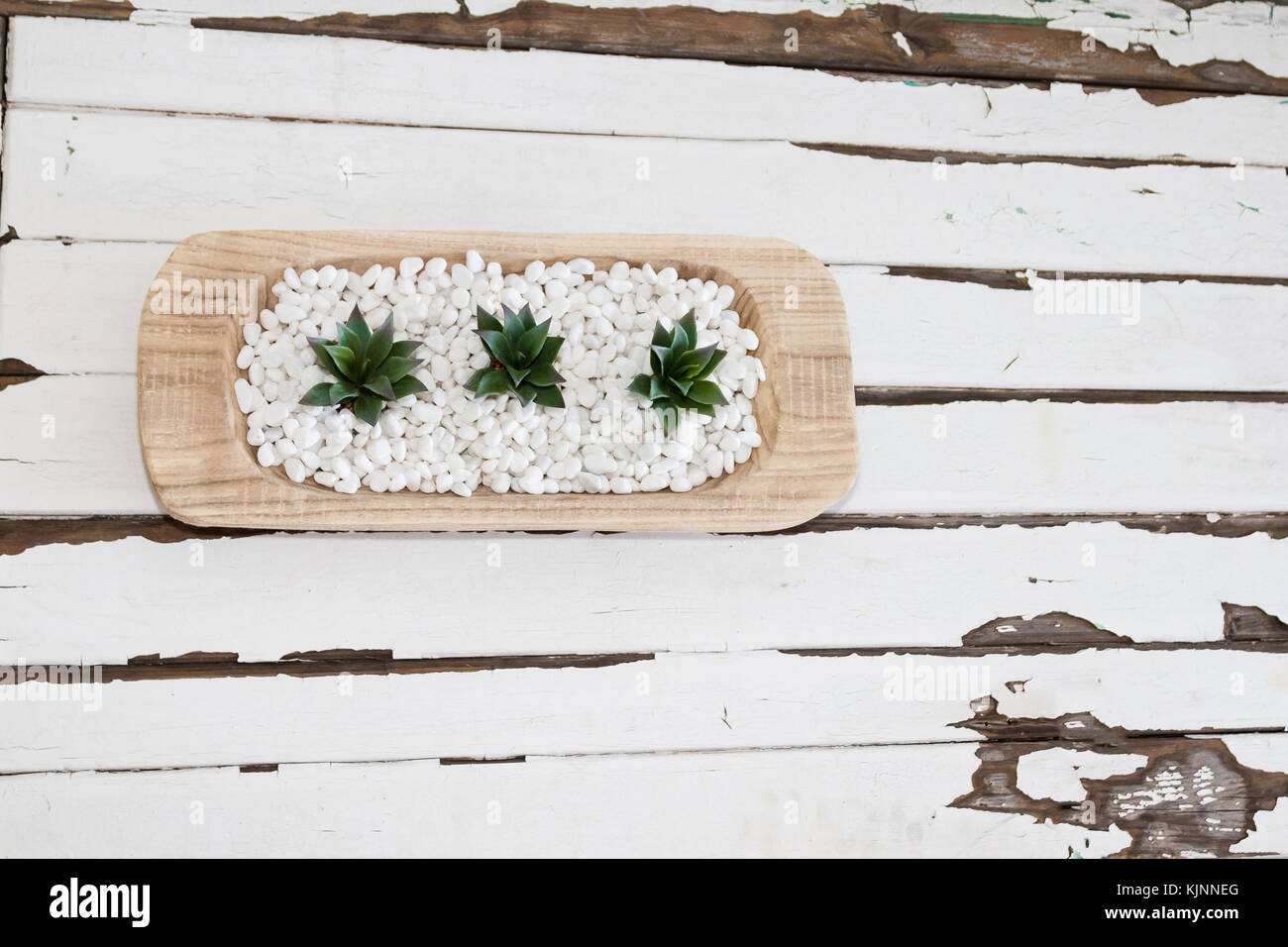 Succulente, bianco pepples e tabella vintage Foto Stock