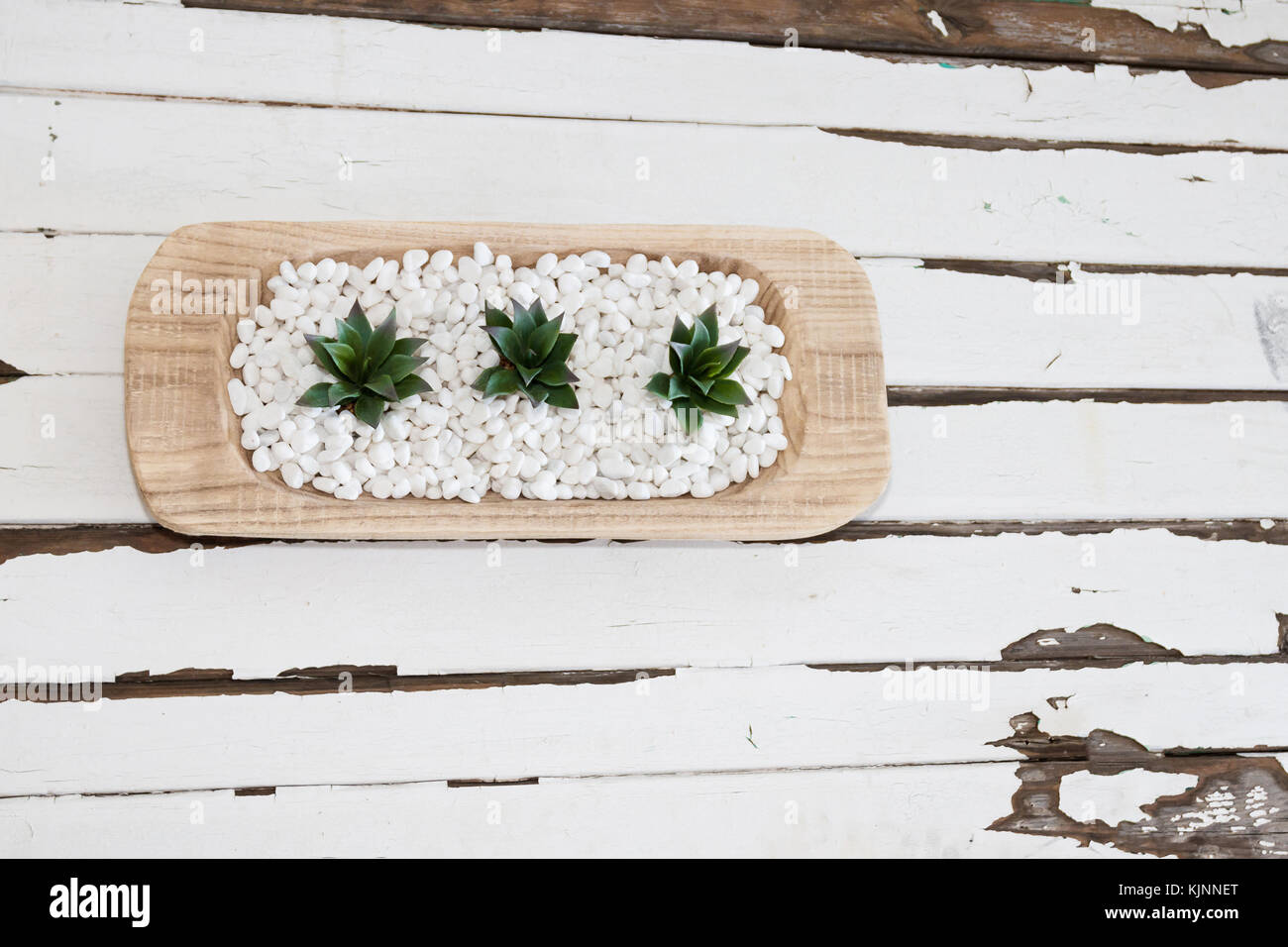 Succulente, bianco pepples e tabella vintage Foto Stock