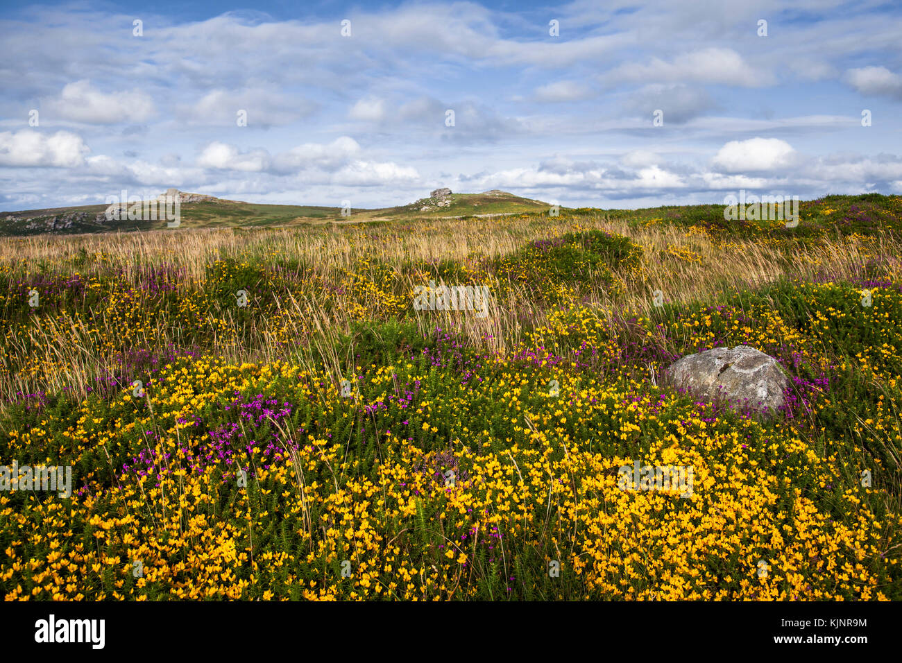 Sella distanti Tor e Haytor rocce dal basso Bonehill parco nazionale di Dartmoor Devon Foto Stock Sella distanti Tor e Haytor rocce dal basso Bonehill parco nazionale di Dartmoor Devon Foto Stock