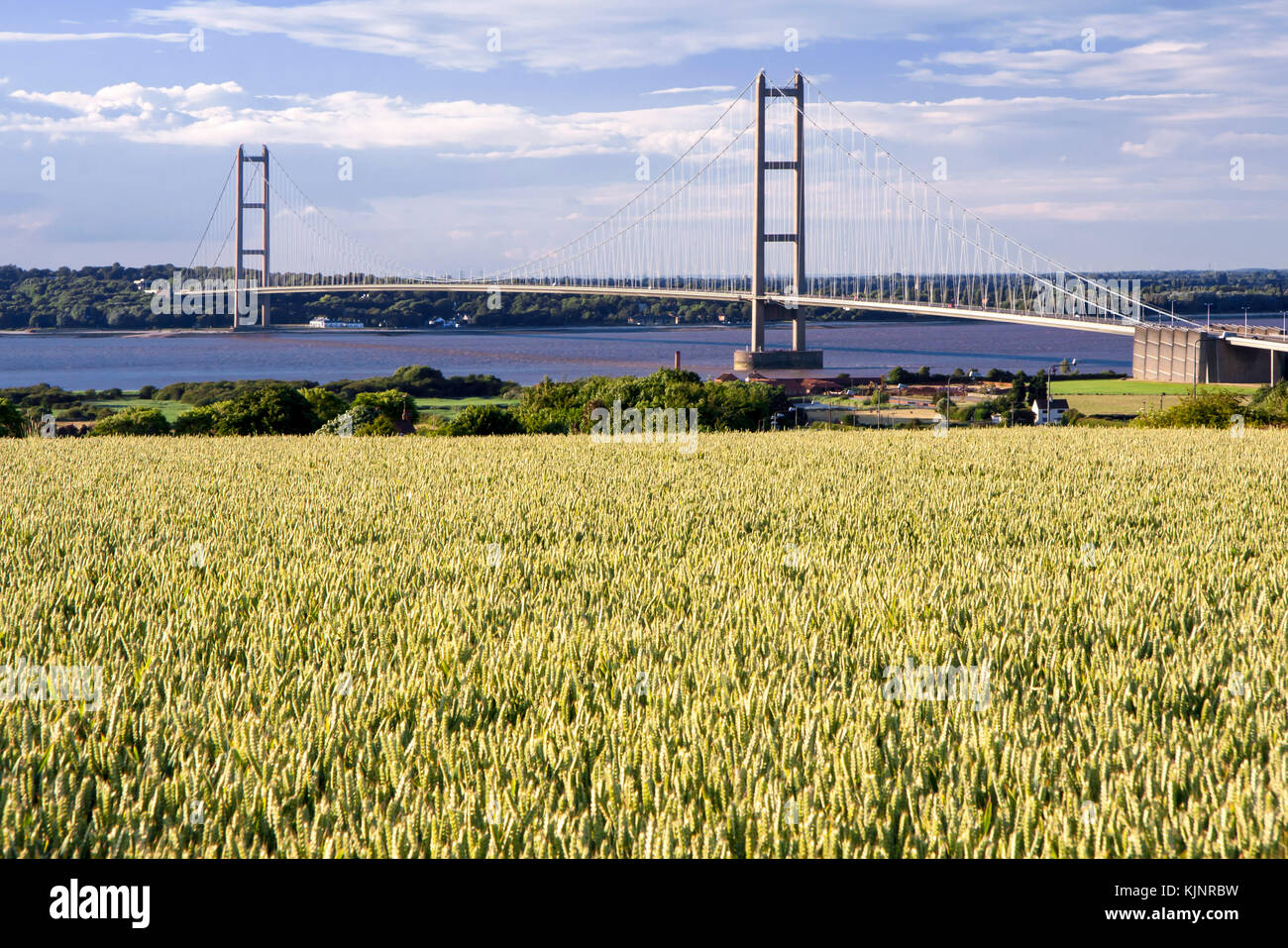 Ponte Humber vista da vicino a Barton-su-Humber Lincolnshire Foto Stock