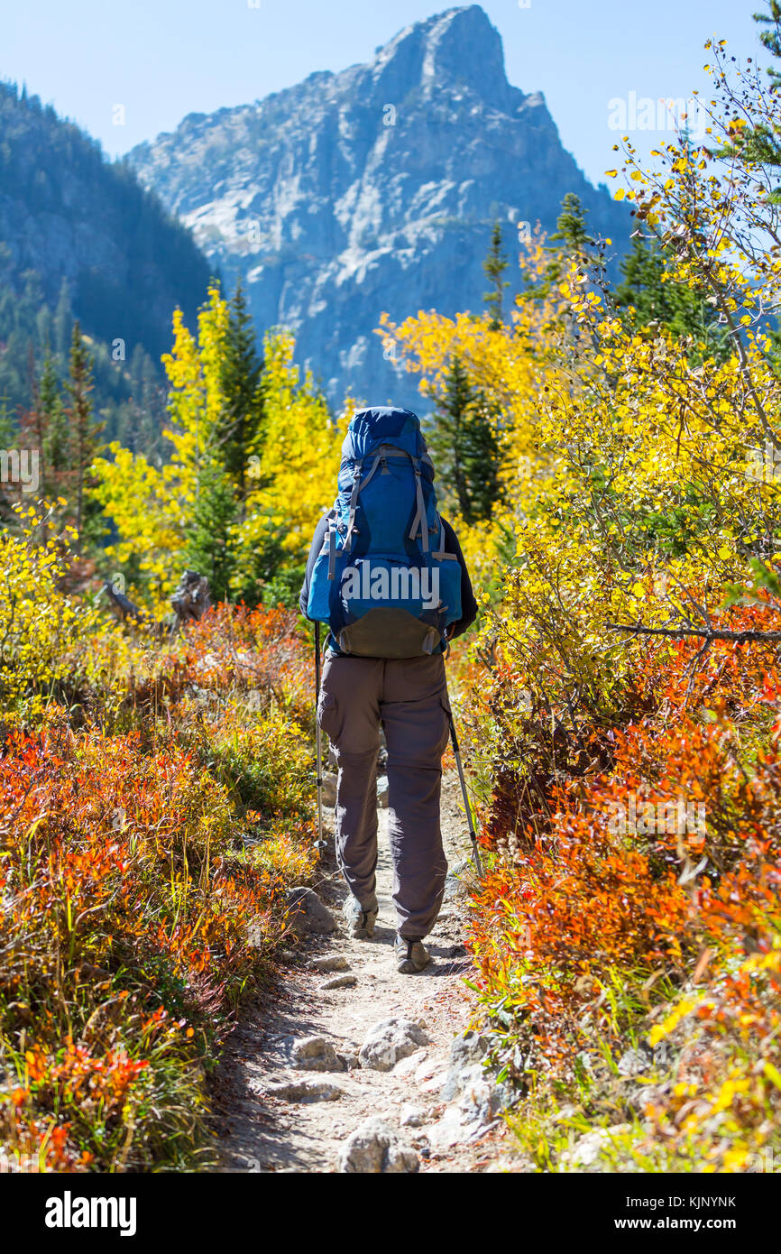 Escursione in autunno le montagne Foto Stock