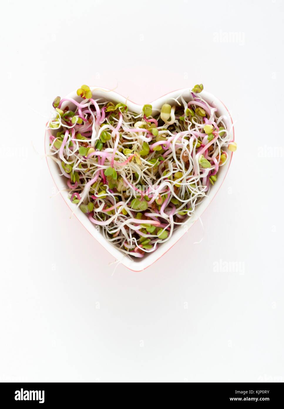 La germogliazione fagioli nel cuore ciotola sagomata su sfondo bianco. Foto Stock